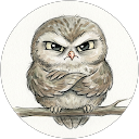 Filip Vejrek profile picture